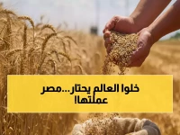 مصر تتحدى التوقعات وتصنع المعجزة.. وهذا الرقم '19.56' هو سلاحها السري في معركة الأمن الغذائي العالمي