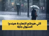 عاجل: 8 محافظات مصرية تغرق في السيول خلال ساعات.. والأرصاد تحذر: تجنبوا الطرق فوراً!