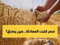 عاجل: مصر تصدم العالم وتحتل المركز الثاني عالمياً في إنتاج القمح بـ 19.56 إردباً للفدان… إنجاز يُعيد كتابة التاريخ!