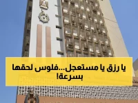 عاجل: أكاديمية البحث العلمي تعلن جوائز مالية ضخمة لباحثي التغذية - فرصة ذهبية تنتهي 25 فبراير!