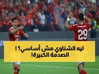 عاجل: مفاجأة مدوية من الأهلي... الشناوي على الدكة وشوبير أساسياً أمام يانج أفريكانز!