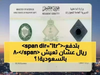 ما هو السعر الحقيقي للبقاء في 'رؤية 2030'؟.. السلطات السعودية تحدد 'سعر الدخول' الجديد بـ 800 ريال سنوياً