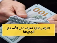 عاجل: هل تبيع أو تشتري دولار؟ البنوك تعود وتفاصيل صادمة لأسعار الشراء والبيع.. الأحد 1 فبراير 2026