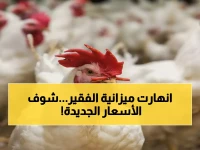 عاجل: أسعار الفراخ والبيض تصدم المصريين اليوم... الفراخ البيضاء بـ85 جنيه والبيض يقفز لـ150!