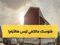 عاجل: انفجار جنوني في أسعار المواشي بالطائف... التيس بـ2200 ريال والمواطنون في صدمة!