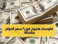 عاجل: قرارات سعرية صادمة في البنوك المصرية - الدولار يسجل 47.04 جنيه للشراء.. والخبراء يحذرون: التغيير الكبير قادم خلال أيام!