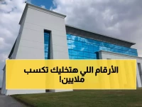 عاجل: المزاد الإلكتروني الأول الذي يُعيد تشكيل اتصالات مصر… سر إقبال 30 شركة كبرى على أرقام مثل 999 و777!