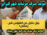 عاجل: وزارة المالية تحدد موعد صرف مرتبات فبراير 2026.. هل تصرف قبل رمضان أم بعده؟