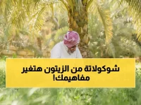 ماذا يفعل مزارع سعودي بـ 23 مليون شجرة زيتون؟.. 'فراس الجابر' حوّلها إلى شوكولاتة أبهرت 7 دول.