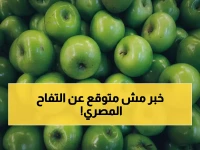 انتبهوا: مصر تحقق قفزة صادمة في إنتاج التفاح الأخضر... المركز الثاني إفريقياً بعد جنوب إفريقيا وتفوق على المغرب والجزائر!