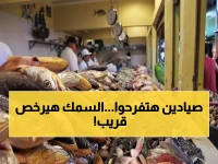 خطة مصر السرية تحدث ثورة سمكية: إطلاق 2 مليون زريعة في الفيوم... هل نصل لـ 3 ملايين طن بحلول 2030؟