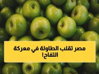 مصر تفعل المستحيل في مجال لم يتوقعه أحد... وتتفوق على جيرانها في معركة التفاح الأفريقية لتكتشف تقارير الفاو: مصر تحتل المركز الثاني أفريقياً في إنتاج التفاح الأخضر!