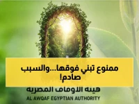 عاجل: هيئة الأوقاف تُسقط قنبلة قانونية على أصحاب أراضي الوقف... قرار مصيري يحدد مصير 300 ألف متر!