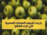 الصين وأمريكا ملعقتاهما... والمفاجأة: 405 منتج مصري تطعم 167 دولة حول العالم.