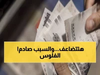 عاجل: البنك المركزي يطرح 95 مليار جنيه اليوم... هل تضاعف عوائدك بـ25 ألف جنيه فقط؟