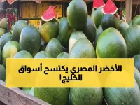 عاجل: صادرات البطيخ المصري تنفجر للسعودية بنسبة 500% - الوجهة الأولى تستحوذ على 70% من إجمالي الصادرات!