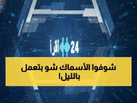 عاجل: اكتشاف سر الهجرة الليلية الغامضة... آلاف الأسماك تتحرك في جزر فرسان مرة واحدة سنوياً!