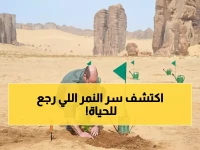 حصري: الأمير ويليام يكشف أسرار العُلا التاريخية ويشهد عودة النمر العربي للحياة!