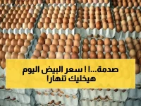 عاجل: انفجار أسعار البيض في مصر... الكرتونة تصل 165 جنيه - صدمة للأسر المصرية!