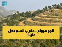 عاجل: خبير المناخ يكشف دخول "عقرب السم" اليوم... ماذا يعني لطقس السعودية خلال 13 يوماً؟