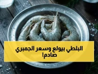 عاجل: انهيار أسعار البلطي يهز الأسواق.. الجمبري يصل لـ690 جنيهاً! إليكم أسعار 12 نوعاً اليوم