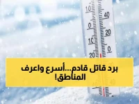 عاجل: صقيع قطبي يغزو 5 محافظات يمنية خلال ساعات... والأرصاد تحذر من كارثة زراعية وصحية!