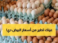 عاجل: أسعار البيض قبل رمضان… صدمة في الأسواق! البيض البلدي يقفز لـ165 جنيهاً والأبيض يستقر عند 118.