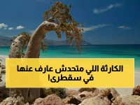 عاجل: سقطرى تواجه كارثة مناخية… الفاو تحذر من انهيار الثروة الحيوانية ونزوح آلاف الرعاة!