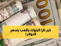 عاجل: سعر الدولار اليوم في مصر يتحدد بين سقف 46.96 جنيه وقاع 46.72 جنيه… بنوك محددة ترفع الأسعار وأخرى تخفضها!