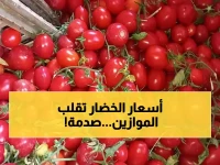 صادم: الطماطم تسجل 10 جنيهات والخيار ينفجر لـ18 جنيهاً في كفر الشيخ... الأسعار تصيب المواطنين بالذهول!