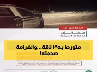 عاجل: الأمن البيئي يضبط مواطناً برعي 35 ناقة في محمية ملكية... غرامة 17500 ريال صادمة!