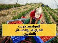 عاجل: عواصف مدمرة تعطل وصول 7000 عاملة مغربية لحصاد الفراولة… إسبانيا تواجه أزمة اقتصادية!