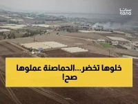 عاجل: حمص تحقق إنجازاً زراعياً مذهلاً بنسبة 92%... والدواجن والخيول في حالة ممتازة!