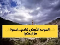 عاجل: تحذير رسمي من ليالي قطبية قادمة... الصقيع يهدد المحاصيل والمواشي في اليمن!