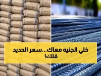 صادم: الحديد يحلق لـ 38.5 ألف جنيه للطن اليوم… هل تنهار أحلام البناء في مصر؟