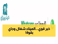 عاجل: ميناء عدن ينتفض من جديد… 3 سفن عملاقة ترسو معاً وتعلن عودة العملاق التجاري!