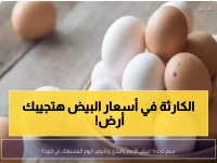 عاجل: صدمة أسعار البيض اليوم… الفرق بين الجملة والتجزئة يصل لـ50 جنيه والبلدي يحطم الأرقام!