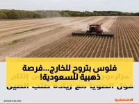 عاجل: استيراد يلامس نصف مليار دولار.. السعودية أمام فرصة ذهبية لتحقيق الاكتفاء الذاتي من فول الصويا!