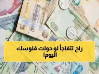 عاجل: الدرهم الإماراتي يسجل أعلى سعر في 2026... هل تربح من تحويلاتك الآن؟