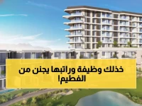 عاجل: راتب خيالي في مجموعة الفطيم مسقط - مساعد مدير براتب 500% أعلى من المعدل!