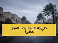 عاجل: عاصفة غبار تجتاح 10 مناطق سعودية خلال ساعات - الأرصاد تحذر: "الرؤية صفر" حتى 28 فبراير!