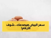 عاجل: خريطة أسعار البيض اليوم تثير صدمة.. البلدي يصل لـ165 جنيهاً والأبيض يرتفع في التجزئة!