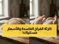 عاجل: أسعار البانيه تستقر عند 240-250 جنيه... وضبط 42 طن دواجن فاسدة بالجيزة!