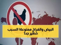 عاجل | قرار سعودي خطير يمنع دخول البيض والدواجن من 56 دولة.. وهيئة الغذاء تكشف: خطر داهم يهدد الصحة العامة!