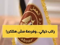 عاجل: 40 ألف جنيه شهرياً! وزارة العمل تفتح باب التعيين في الطاقة الشمسية - المقابلات يومياً