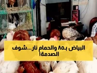عاجل: أسعار صادمة للدواجن في أسوان اليوم... الفراخ البيضاء تقفز لـ85 جنيهاً والحمام يصل 220!