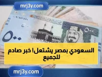 عاجل: انفجار أسعار الريال السعودي في مصر - 5 بنوك ترفع الأسعار فجأة!