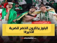 صادم: هولندا تختار الجزائر لمباراة الوداع الأخيرة قبل كأس العالم - لقاء ناري ينتظره الملايين!