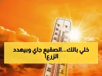 عاجل: الأرصاد تصدر تحذير خطير لـ 100 مليون مصري… الصقيع يهدد بكارثة زراعية والحرارة تنهار لـ 6 درجات!