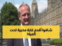 حصري: العاصفة تكشف غابة عمرها 8 آلاف سنة في بريطانيا… كنوز الأسطورة 'أتلانتس الويلزية' تظهر فجأة!